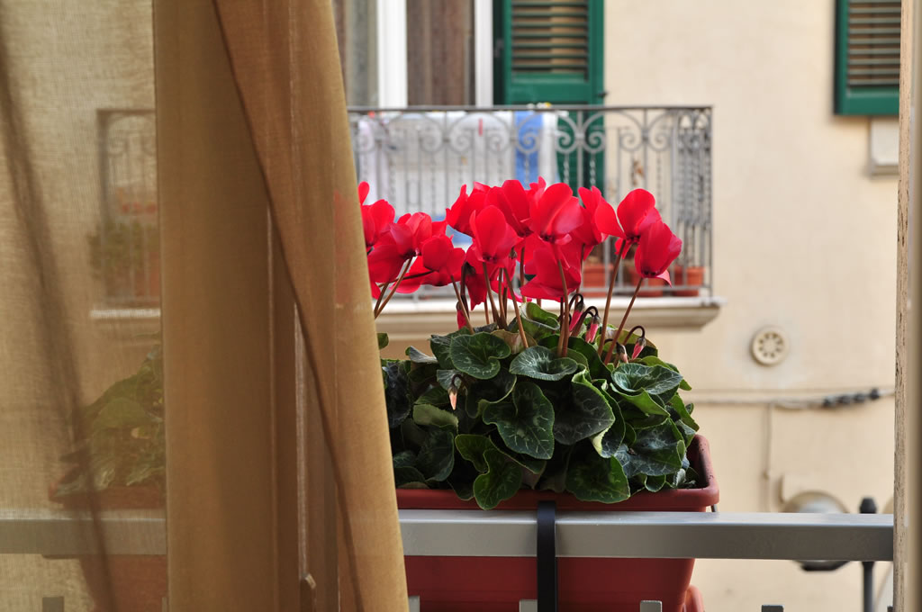 Donna Eleonora B&b - Matera