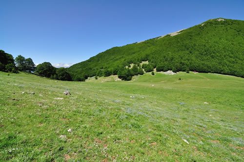 Parco Nazionale del Pollino