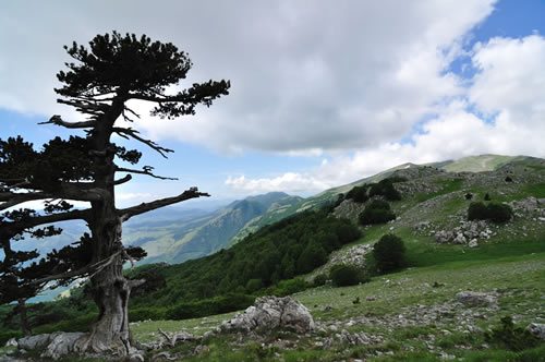 Parco Nazionale del Pollino