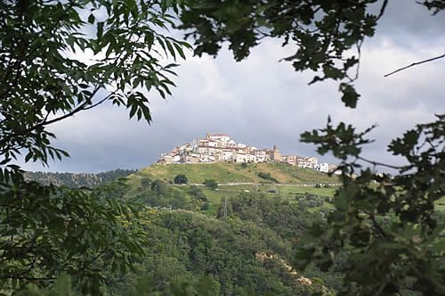 Gallipoli Cognato Park