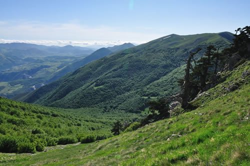 Parco Nazionale del Pollino