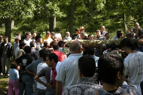 Gallipoli Cognato Park
