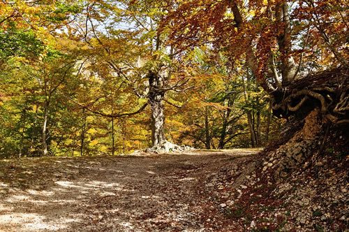 Parco Nazionale del Pollino